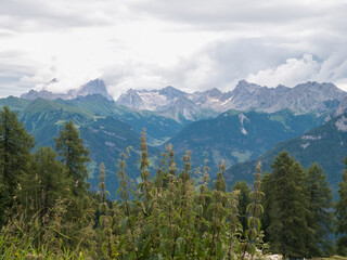 Fototapeta premium Hiking in Ciampedie near Catinaccio mountain following the path to Malga Vael - Val di Fassa - Italy