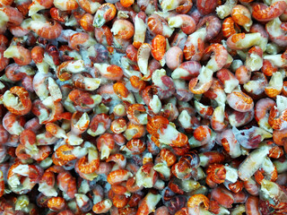 Iced lobster tails sold in supermarkets.