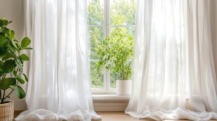 Light and Airy Window with Green Plant and Curtains