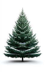 Obraz premium beautiful evergreen tree covered in snow, perfect for winter scenes and holiday decorations. This tree embodies spirit of season with its lush green branches and snowy accents