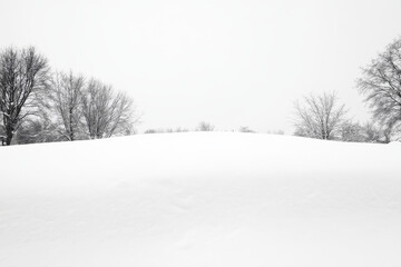 A serene winter landscape covered in fresh, untouched snow creates peaceful atmosphere. bare trees stand against soft white backdrop, evoking sense of calm and tranquility