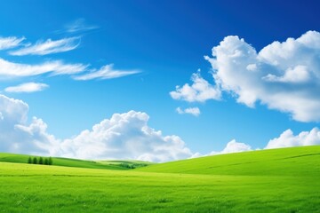 Fototapeta premium Spring landscape background grass sky panoramic.