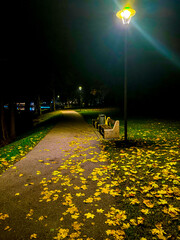 road in the night