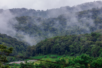 The natural background of the mountain atmosphere, green rice fields and many kinds of plants surrounding, rainbow and a walkway to see the completeness of the ecosystem.