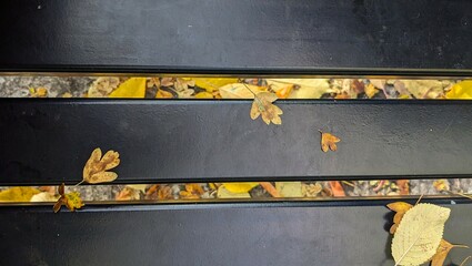 Black wooden seat planks against yellow autumn leaves