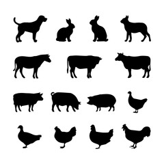 Animal Icon Set