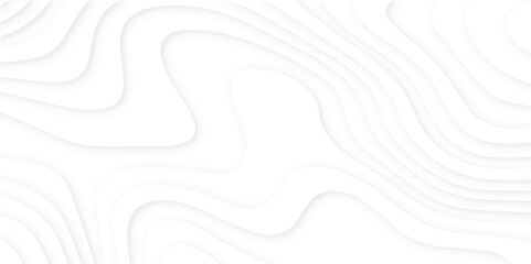 White luxury paper cut background, 3d illustration abstract background, wavy line 3d paper cut white background, wavy layers with modern papercut decoration textured.