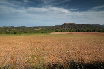 plowed field with mountain at the background