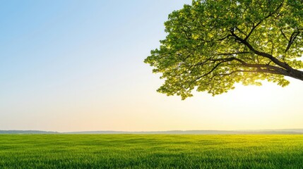 Fototapeta premium Lush green field under a clear sky with a single tree, serene landscape scene.