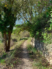 Fototapeta premium Wooded trail along stone wall in the Baux-de-Provence