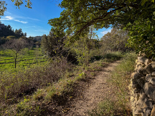 Trail along field  in the Baux-de-Provence