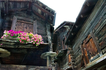 Somme in den Schweizer Alpen
