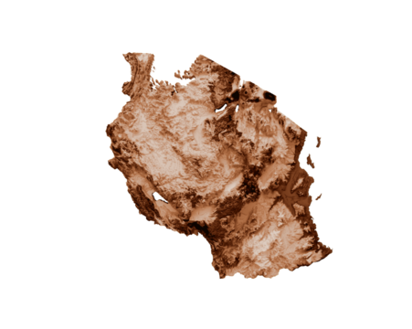 Map of Tanzania in old style, brown graphics in a retro style Vintage Style. High detailed 3d illustration
