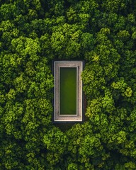 Serene Pool Surrounded by Lush Green Forest