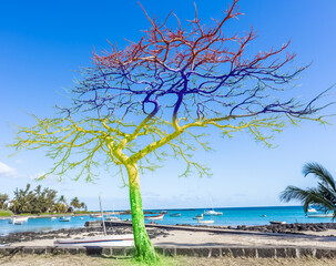 Fototapety na wymiar - Fototapeta24.pl