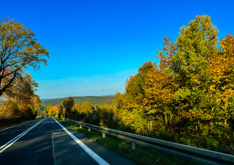 Asphalt road in the autumn forest with colourful trees and blue sky. View from the car.