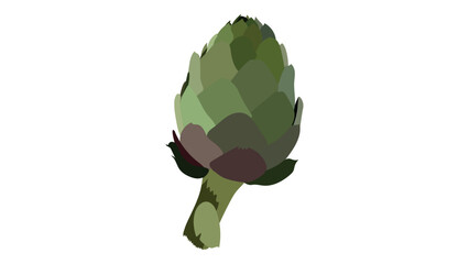 Artichoke green flower heads vector illustration. Vector illustration of Globe artichoke. Artichoke fresh natural vegetable