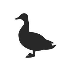 Duck silhouette isolated on transparent background SVG. Animal icon vector illustration design.