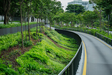 Green corridors alongside roads for urban biodiversity