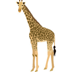 Obraz premium Animal