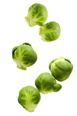 Obraz premium Falling brussels sprouts isolated on a transparent background.