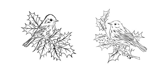 Obraz premium Black and white line art of birds resting on holly branches with berries, capturing a festive winter theme