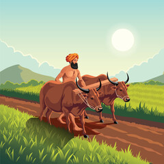 Indian Farmer with Bullocks Working in Farm
