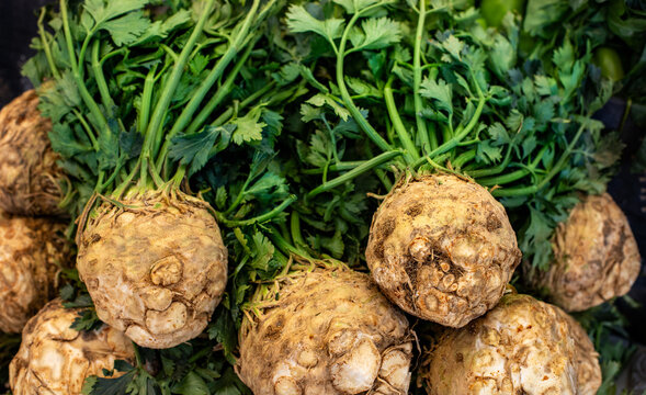 Fresh raw celery roots with their stem on table
