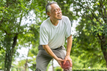 Sick unhappy senior adult elderly asian man touching her muscle injury leg suffering from muscles...