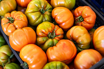 Tomatoes in the plastic black crate for winter time. 