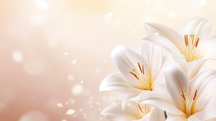 lily flowers close up. beautiful flowers on the background