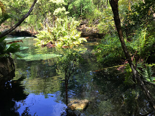 MEX_Cenote_Coba_2019_RET_IMG7723.JPG