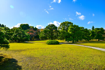 The Japanese gardern view of nijo jo castle, Kyoto, Japan. World Heritage Site, Japanese old traditional architecture in Kyoto, Japan. Background landscape of the beauty of Nijo Castle at sunny day.