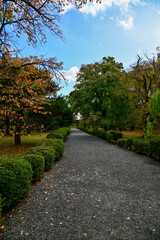 The Japanese gardern view of nijo jo castle, Kyoto, Japan. World Heritage Site, Japanese old...