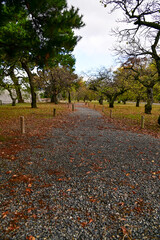 The Japanese gardern view of nijo jo castle, Kyoto, Japan. World Heritage Site, Japanese old...