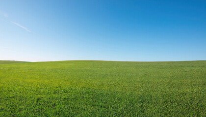 Obraz premium Field of lush green grass with a clear blue sky in the background