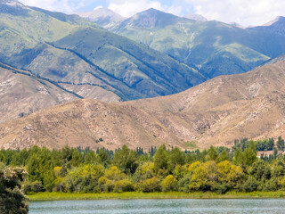 A wooden staircase leading into the clear waters of Issyk-Kul lake, with visible underwater...