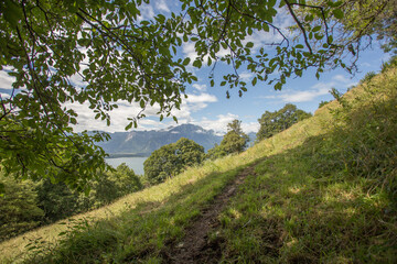Paysage de montagne