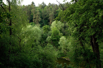Obraz premium Russia Moscow region landscape on a cloudy summer day