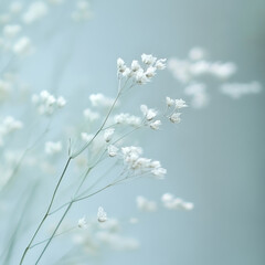 Fototapeta premium background with flowers