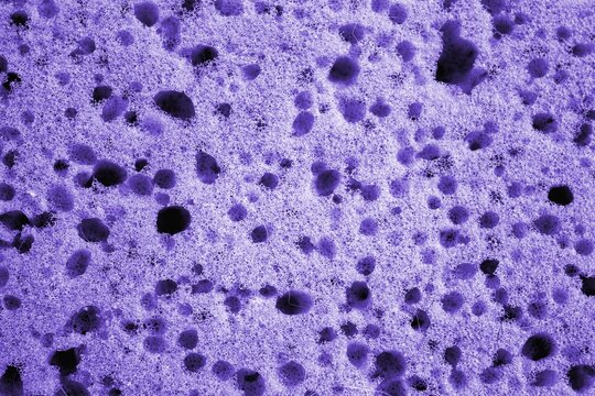 The porous surface of paralon is a unique material that has high strength and durability.