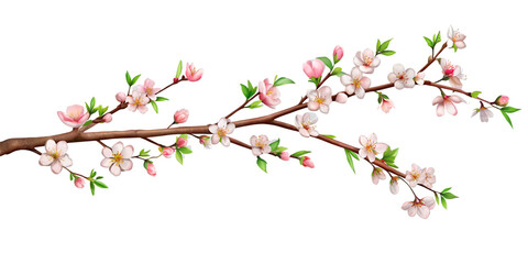 Fototapeta premium Tree branch flower isolated on a transparent background.AI GENERATED