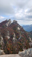 View of the red maple leaves on the tree. the top of Bukhansan Mountain in Korea in sunny weather. hiking in korea.  fall, South Korea. Travel, vacation and holiday concept