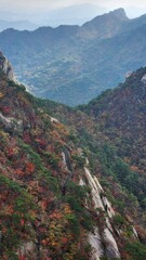 Naklejka premium View of the red maple leaves on the tree. the top of Bukhansan Mountain in Korea in sunny weather. hiking in korea. fall, South Korea. Travel, vacation and holiday concept