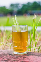 A glass of wedang alang-alang near the grass with a blur and bokeh background, a health drink made...