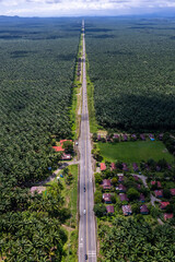 Fototapeta premium Aerial view of the African oil trees palm in Puntarenas Costa Rica