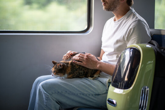 Caring pet owner journeying by public transport. Fluffy cat lying on man lap while riding in electric train near window. Cat lover holding feline friend on knees travel by railway transport together.