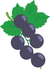 Illustration of blackcurrant berries with green leaf, Vector illustration of blackcurrant berries clustered together with a green leaf, showcasing a simple, minimalistic design. 
