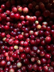 Cranberries