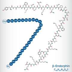 Beta endorphin molecule. Structure and amino acid sequence. Endogenous opioid neuropeptide and peptide hormone. Vector illustration
